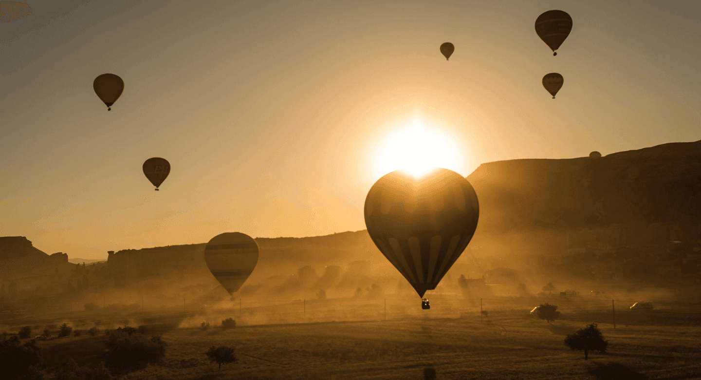 Launch Your Voice of Customer Program in 30 Minutes Flat!