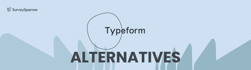 11 Typeform Alternatives in 2026: Budget-Friendly Options typeform alternatives and competitors