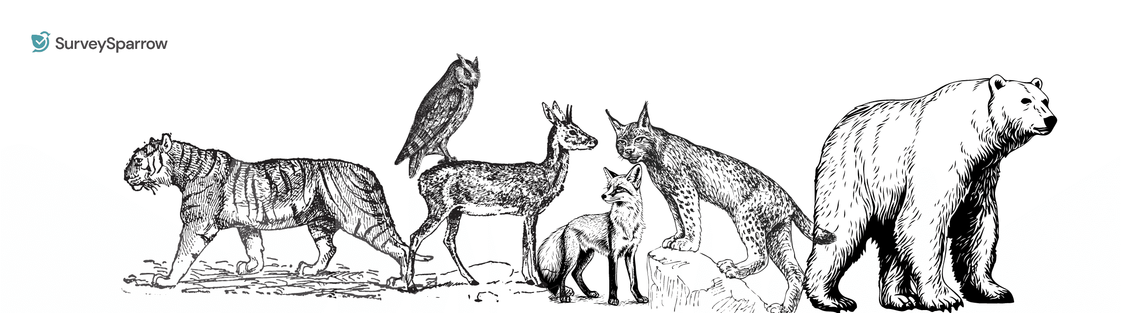 What's My Spirit Animal Quiz! Find Your Spirit Guide! What's My Spirit Animal Quiz! Find Your Spirit Guide!
